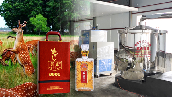 用大型釀酒設(shè)備釀鹿茸酒，走出黑龍江生態(tài)旅游發(fā)展特色之路！