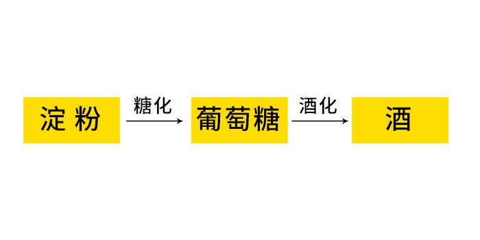 10.18-釀酒發(fā)酵基本原理