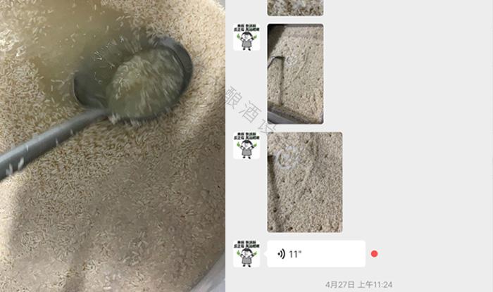 受疫情影響不讓養(yǎng)蛇，用電加熱釀酒設(shè)備做酒迎來新未來！ 3