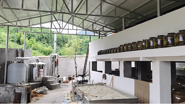 受疫情影響工作不好找，在家開(kāi)個(gè)酒廠利潤(rùn)大嗎？