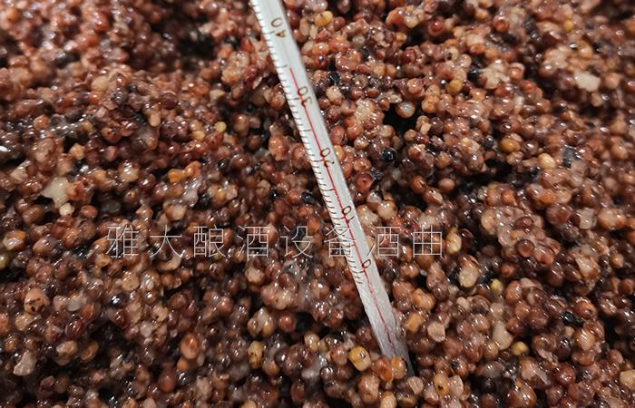 控制好發(fā)酵溫度
