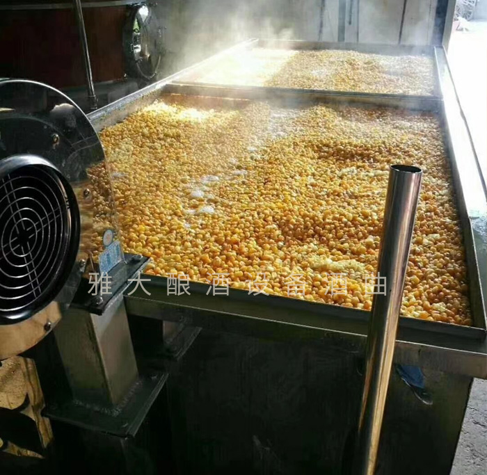 3.31用攤晾蒸煮釀酒設(shè)備蒸玉米，熟得又快又均勻