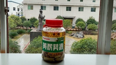 做酒設備釀造黃秋葵酒，3種不同工藝，哪種工藝釀的更好喝？