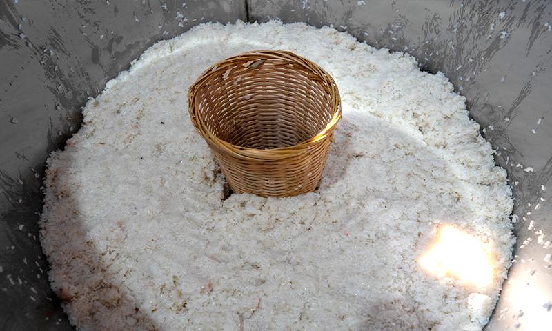 將糯米裝入發(fā)酵罐內(nèi)壓緊，挖個V字形狀