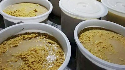 玉米熟料液態(tài)酒怎么做？小型酒廠釀酒設備玉米液態(tài)釀酒技術