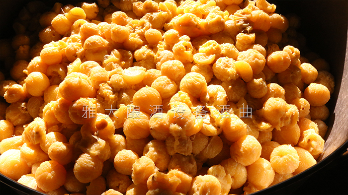 去皮皇帝柑釀酒技術(shù)-剝皮、加糖