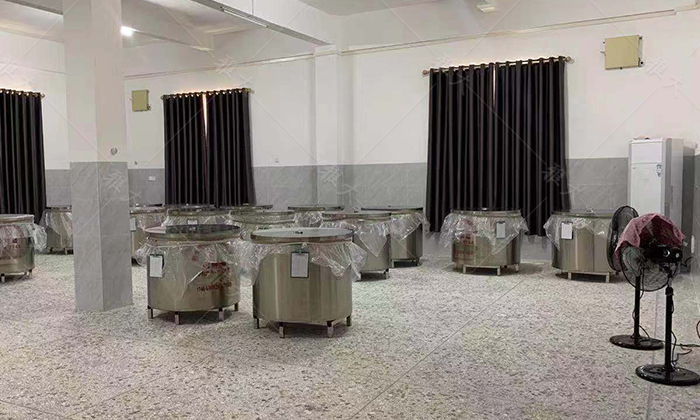 12-7第一批大米酒發(fā)酵完成，可以蒸酒了