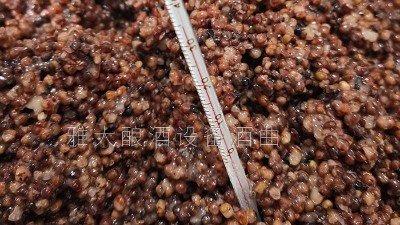 用燒酒設(shè)備在家開(kāi)個(gè)酒坊，嚴(yán)把質(zhì)量關(guān)才是核心！