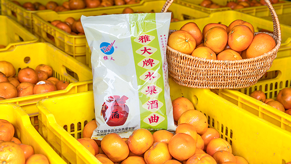 桔子滯銷怎么辦，試試用果酒釀酒設備將它們釀成酒吧！