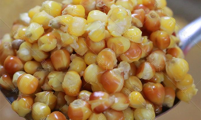 玉米蒸至開花率95%以上，外干內(nèi)軟