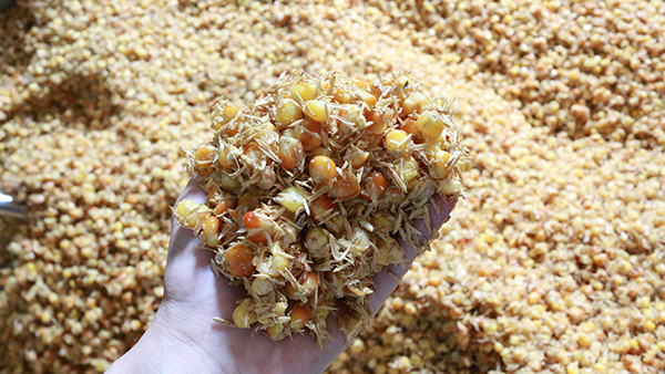 驚！夏季用白酒蒸餾設(shè)備做固態(tài)酒時(shí)加入輔料作用這么大！