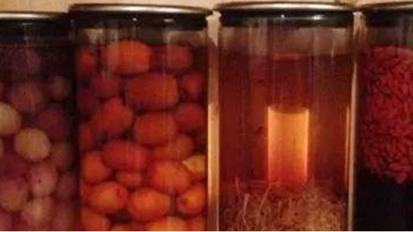 蒸餾釀酒設備：常見的6種野果，泡成酒連老酒鬼們都念念不忘！