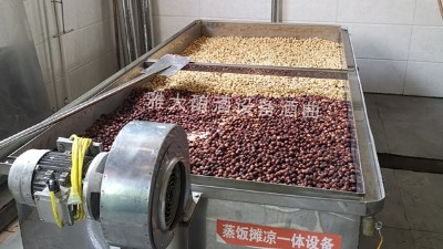 蓮子酒怎么做？11步教您用小型酒廠釀酒設備做出美味蓮子酒