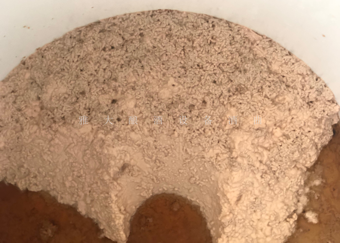 11.28發(fā)酵過(guò)程中感染雜菌導(dǎo)致白酒酸味重