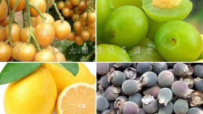 藏在果園里的果酒釀酒設(shè)備酒坊，生意卻依然火爆！