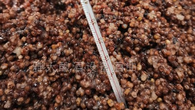 用小型釀酒設(shè)備釀的養(yǎng)生酒，是發(fā)酵酒、蒸餾酒還是配制酒？
