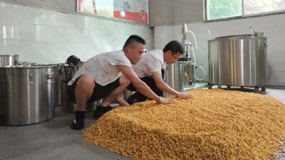 零基礎(chǔ)用做酒設(shè)備釀酒，必須要掌握糖化和酒化的6大要點(diǎn)！