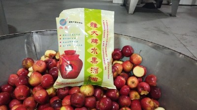 龍豐果酒怎么釀？雅大小型酒廠釀酒設(shè)備現(xiàn)場(chǎng)教您釀！