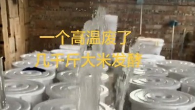 夏天用釀酒機器做酒怎樣降溫？來看看釀友們的神回復(fù)